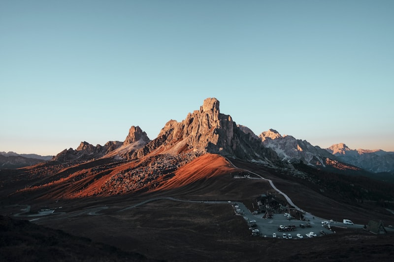 Flower found on hike